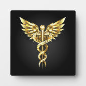 Plaque Photo Symbole Polygonal Or Caduceus (Devant)