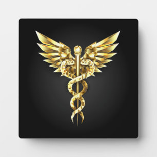 Plaque Photo Symbole Polygonal Or Caduceus