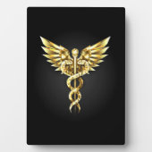 Plaque Photo Symbole Polygonal Or Caduceus (Devant)