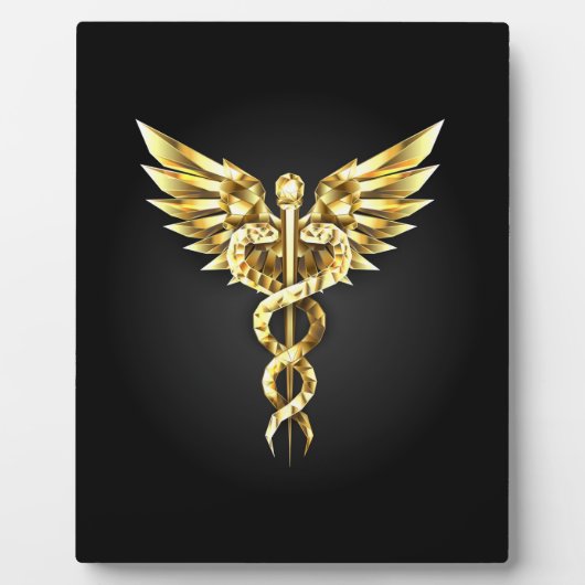 Plaque Photo Symbole Polygonal Or Caduceus (Devant)