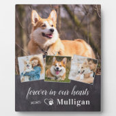 Plaque Photo Sympathie personnalisée pour chien animal de compa (Devant)