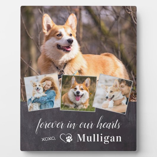 Plaque Photo Sympathie personnalisée pour chien animal de compa (Devant)