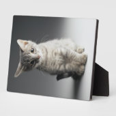 Plaque Photo Tabby bleu Kitten (Côté)