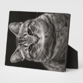 Plaque Photo Tabby noir Kitten (Côté)