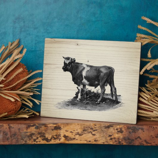 Plaque Photo Tableau de lustration de vache vintage (Côté)