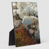 Plaque Photo Tabouret minuscule (Côté)