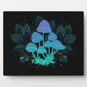 Plaque Photo Tabourets dans Bushes