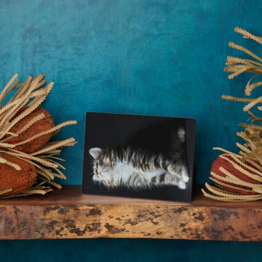 Plaque Photo Tall Tabby (Côté)