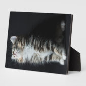 Plaque Photo Tall Tabby (Côté)