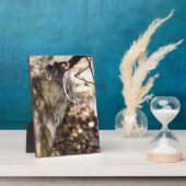 PLAQUE PHOTO TAMARIN MONKEY (Côté)