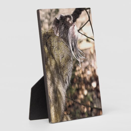 PLAQUE PHOTO TAMARIN MONKEY (Côté)