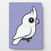 Plaque Photo Tanimbar Corella (Devant)