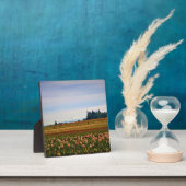 Plaque Photo Terrain de tulipe avec Mt Hood, Oregon (Insitu)