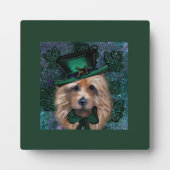 Plaque Photo Terrier australien (Devant)