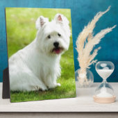 Plaque Photo terrier écossais (Côté)