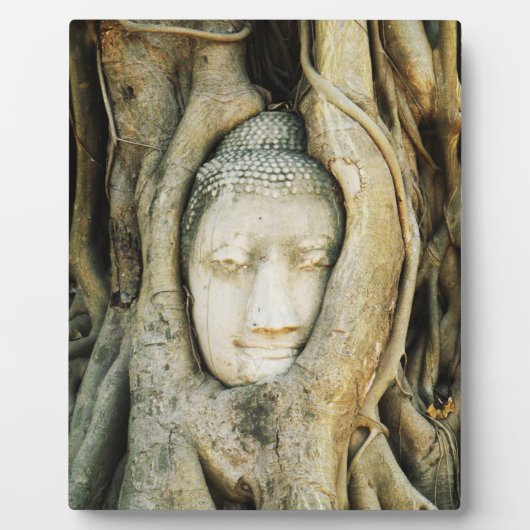 Plaque Photo Tête de Bouddha dans le Fig Tree .. Ayutthaya, Tha (Devant)