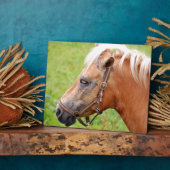 Plaque Photo Tête de cheval 003 (Côté)