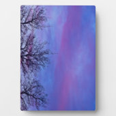 Plaque Photo Three Tree Tops (Devant)