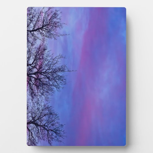 Plaque Photo Three Tree Tops (Devant)