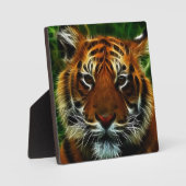 PLAQUE PHOTO TIGER (Recto)