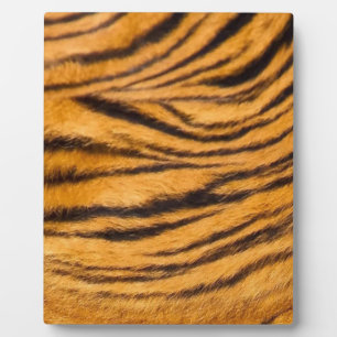 Plaque Photo Tiger Grilles Fourrure Noir et Orange Personnalise