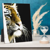 Plaque Photo Tigre (Côté)
