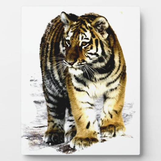 Plaque Photo Tigre (Devant)