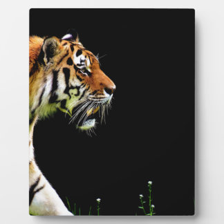 Plaque Photo Tigre approchant - Oeuvres d'art d'animaux sauvage