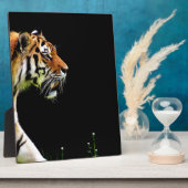 Plaque Photo Tigre approchant - Oeuvres d'art d'animaux sauvage (Côté)