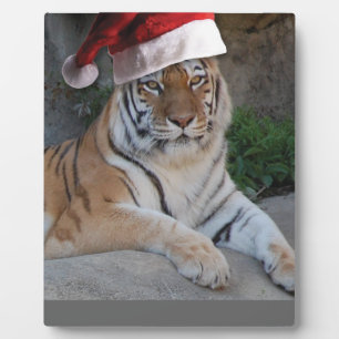 Plaque Photo Tigre du Bengale du Père Noël