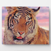 Plaque Photo Tigre endormi - (Devant)