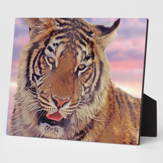Plaque Photo Tigre endormi - (Côté)