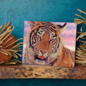 Plaque Photo Tigre endormi - (Côté)