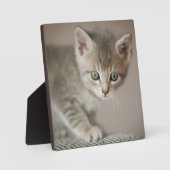 Plaque Photo Tiny (Recto)