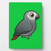Plaque Photo Tomneh African Grey Parrot (Devant)