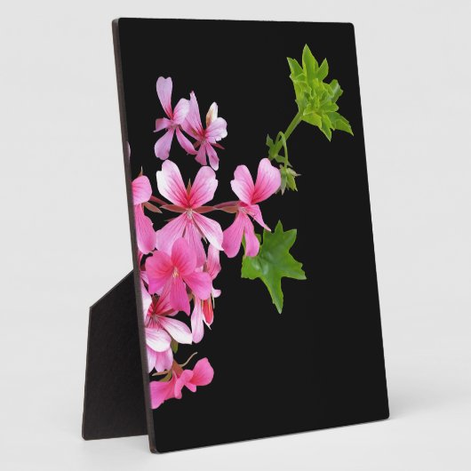 Plaque Photo tons rose sur noir (Côté)