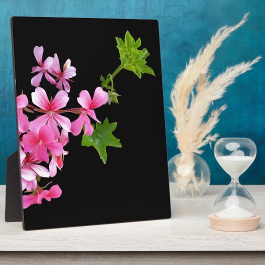 Plaque Photo tons rose sur noir (Côté)