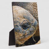 PLAQUE PHOTO TORTOISE GÉANT (Côté)