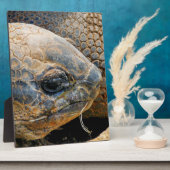 PLAQUE PHOTO TORTOISE GÉANT (Côté)