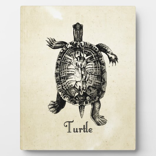 Plaque Photo TORTUE vintage (Devant)