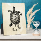 Plaque Photo TORTUE vintage (Côté)