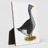 Plaque Photo Toulouse Goose Tufted (Côté)