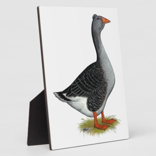 Plaque Photo Toulouse Goose Tufted (Côté)