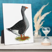 Plaque Photo Toulouse Goose Tufted (Côté)