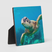 Plaque Photo Tourbillon de Green Sea |hawaï (Recto)