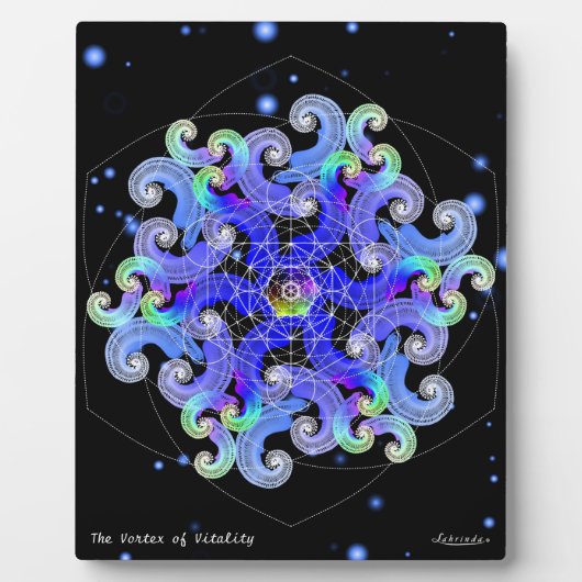 Plaque Photo Tourbillon de Vitalité (Devant)