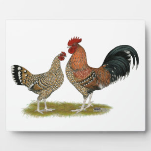 Plaque Photo Tournaisis Bantams