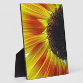 Plaque Photo Tournesol (Côté)