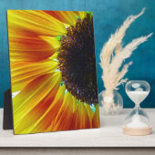 Plaque Photo Tournesol (Côté)