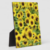 Plaque Photo Tournesol (Côté)